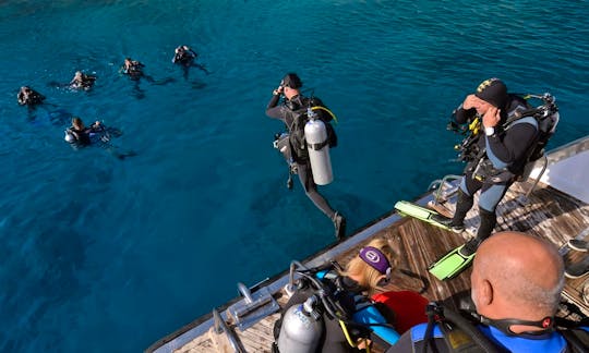 Boat Diving Trips in Dahab - Egypt