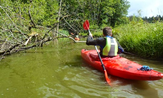 Single Kayak Rental in Parchowo