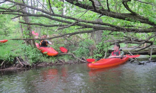 Single Kayak Rental in Parchowo