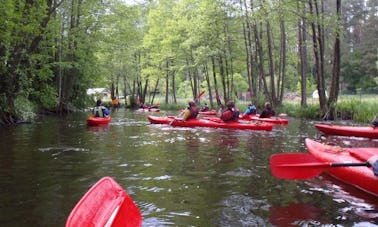 Double Kayak Rental in Parchowo