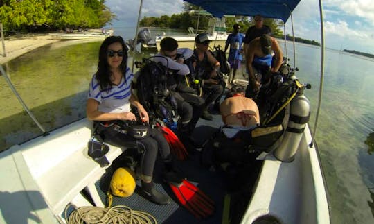 Boat Diving Trips & PADI Courses in Kavieng
