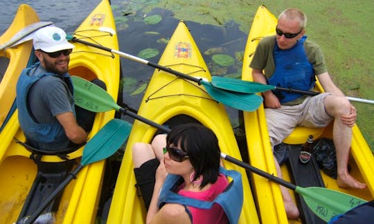 Kayaking Daily Tours in Gdańsk