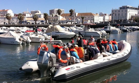 RIB Boat Rental in the Algarve