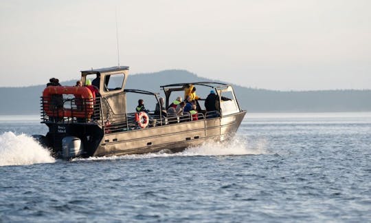 38' "The Blackfish Express" Tours in Eastsound, Washington