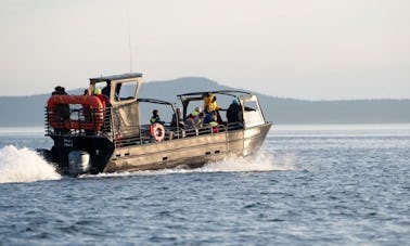 38' "The Blackfish Express" Tours in Eastsound, Washington