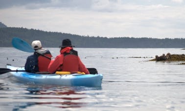 Viagem de caiaque de 3 horas em Point Doughty na Ilha das Orcas em Eastsound, Washington