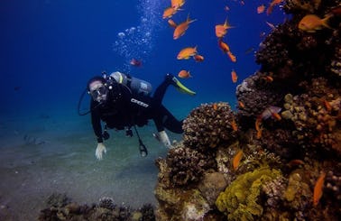 Introductory Diving Lessons for Beginners in Eilat, Israel