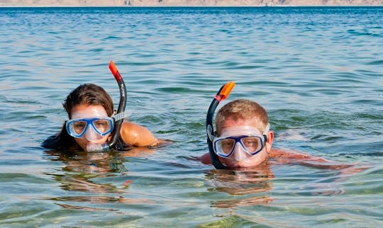 Snorkeling Tour in Eilat