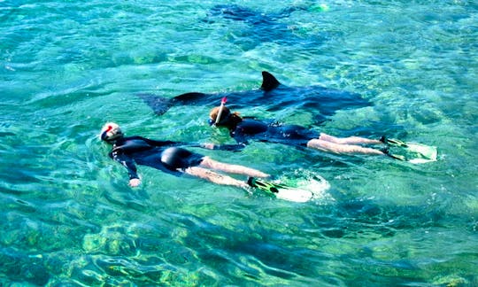 Snorkeling Tour in Eilat