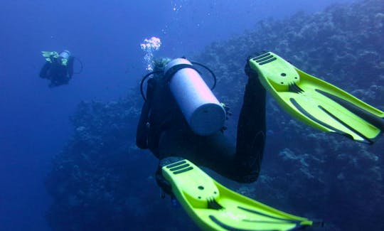 Try a PADI Diving Courses in Dahab