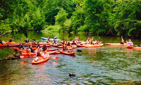 Exciting Kayaking Activities in Piedmont, Alabama