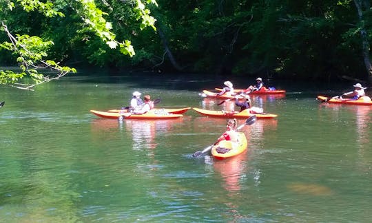 Exciting Kayaking Activities in Piedmont, Alabama