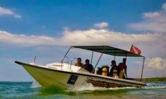 'Poseidon-3' Boat Diving & PADI Courses in Hikkaduwa