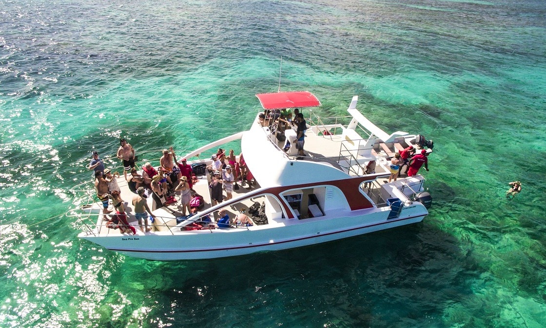 catamaran cruise dominican republic