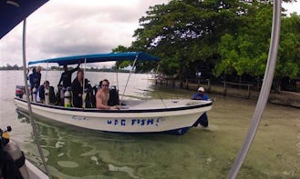 Boat Diving Trips & PADI Courses in Kavieng