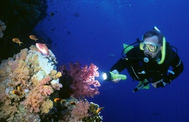 Diving Trips in Soma Bay