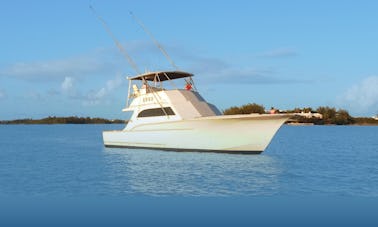Fishing Charter On 48ft 'Reel Adiction' Yacht In Somerset Village, Bermuda