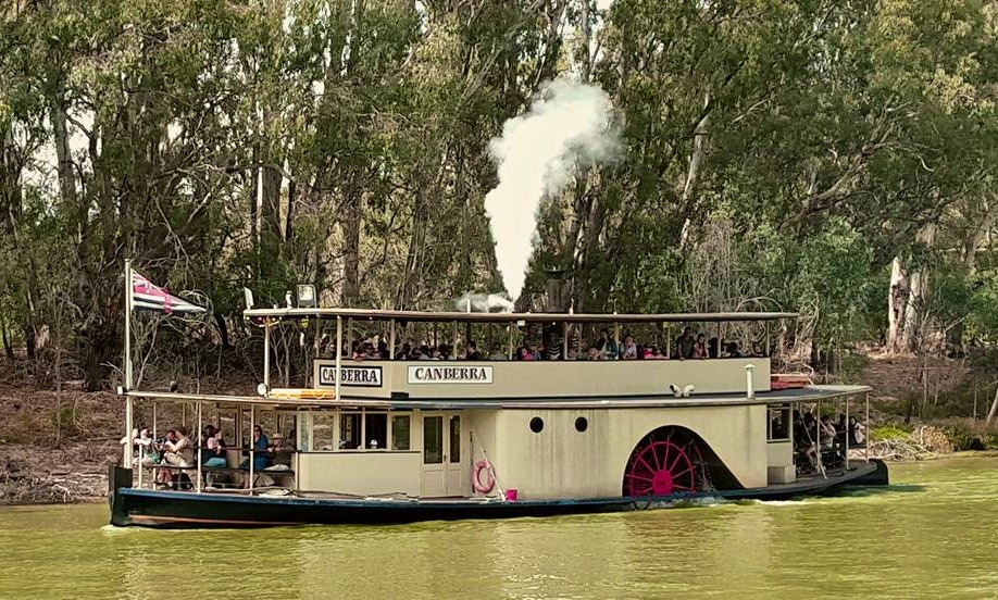 murray river paddle boat cruise