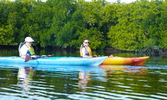 Come out and Go kayaking in Port Charlotte, Florida
