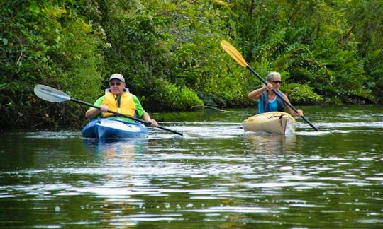 Come out and Go kayaking in Port Charlotte, Florida