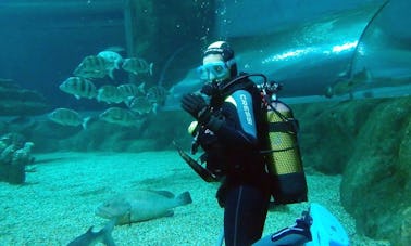 Buceo con tiburones en Roquetas de Mar, España