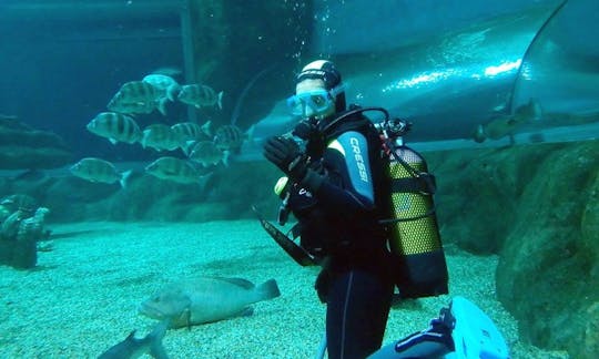 Diving With Sharks In Roquetas de Mar, Spain