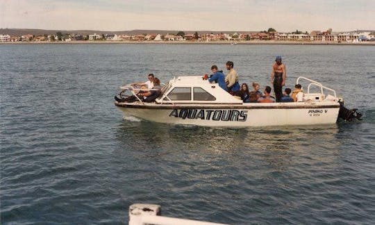 Plongée avec des requins à Roquetas de Mar, Espagne