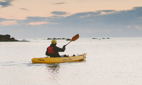 Guided Kayak Tour in North Shields, United Kingdom