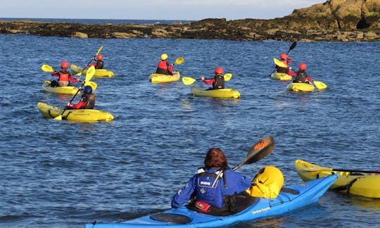 Guided Kayak Tour in North Shields, United Kingdom