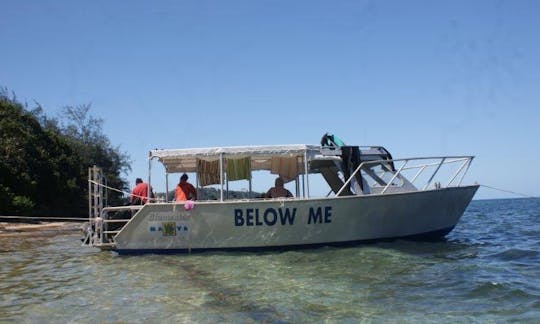 Book your next Diving Adventure on the 4th Largest Barrier Reef in the World!