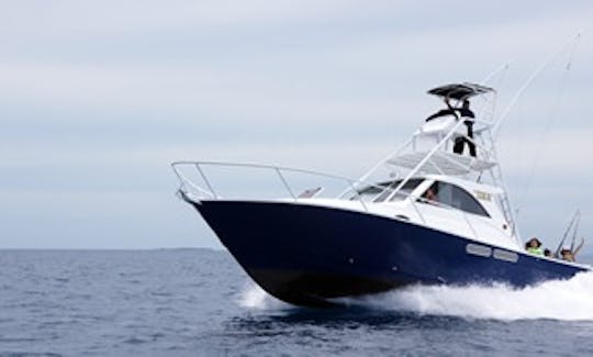 Book our 45' Sport Fisherman Fishing Boat From Denarau Island, Fiji