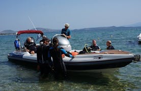 Boat Diving Trips to South Evoikos Gulf with Experienced Guides