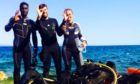 Boat Diving Trips to South Evoikos Gulf with Experienced Guides