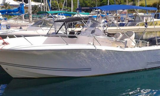 Rent the White Shark 226 Open Center Console In Basse-Terre, Guadeloupe