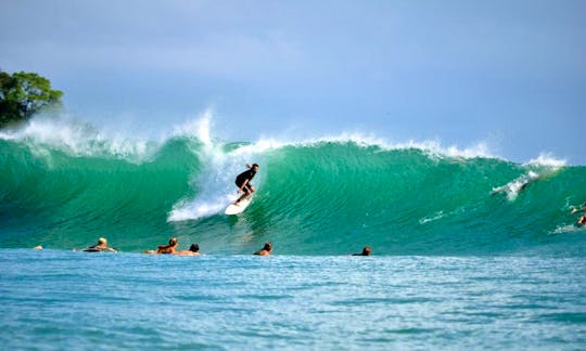Guided Surfing Tour In Bocas del Toro