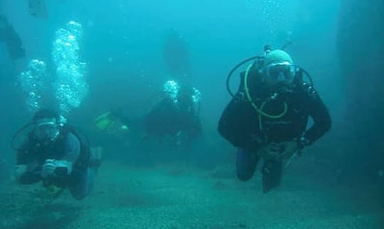 Aulas de mergulho Discovery em Guanacaste, Costa Rica