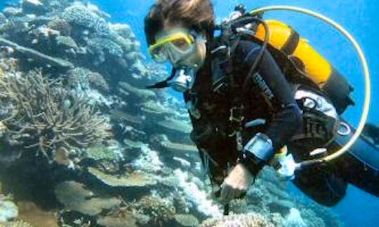Diving Trips in Province Nord, New Caledonia