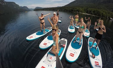 Excursion en stand-up paddle à Ljubljana