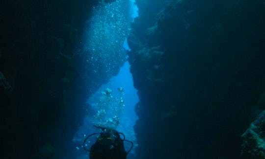 Diving in Hienghène - New Caledonia