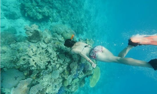 Snorkeling Tour In Luganville