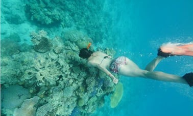 Snorkeling Tour In Luganville