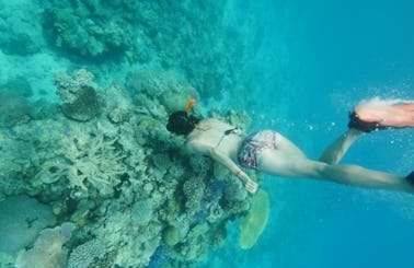 Snorkeling Tour In Luganville