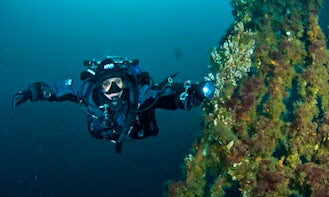Diving Tour and PADI Courses in Picton