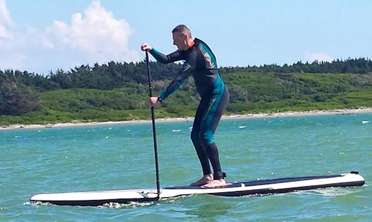 Paddleboard Hire and Lessons in Foxton Beach