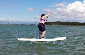 Paddleboard Hire and Lessons in Foxton Beach