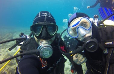 Diving Trips and PADI Courses in Eilat