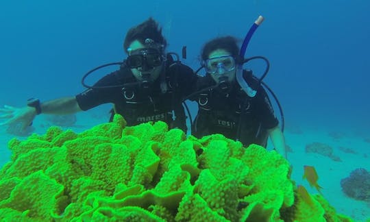 Viajes de buceo y cursos PADI en Eilat