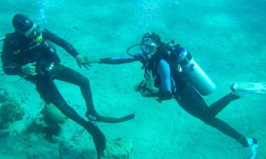 Viajes de buceo y cursos PADI en Eilat