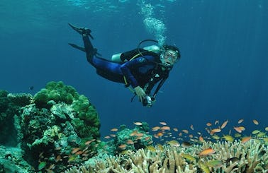 Diving Trip and Courses Kuala Besut