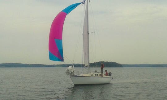 Sailing the Gennaker